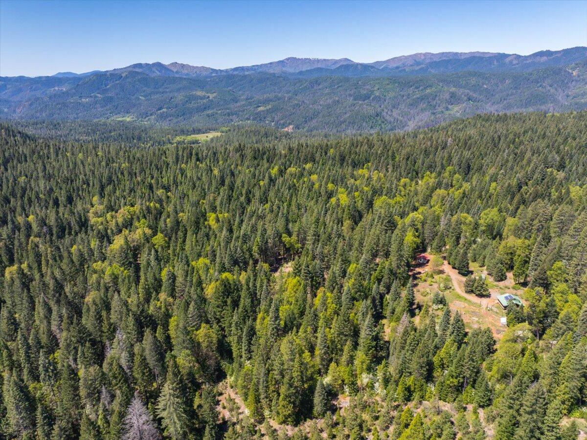 2004 Gus Hawk Road Big Bend, CA 96011 - Photo 54 of 57 082-Shot Gun Rd (82 of 107)