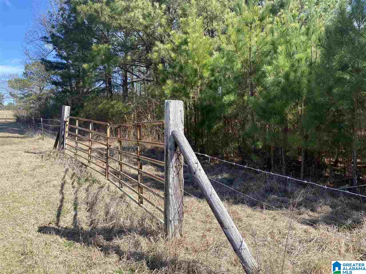1560 Oren Miller Road, Unit 1 Warrior, AL 35180 - Photo 10 of 19