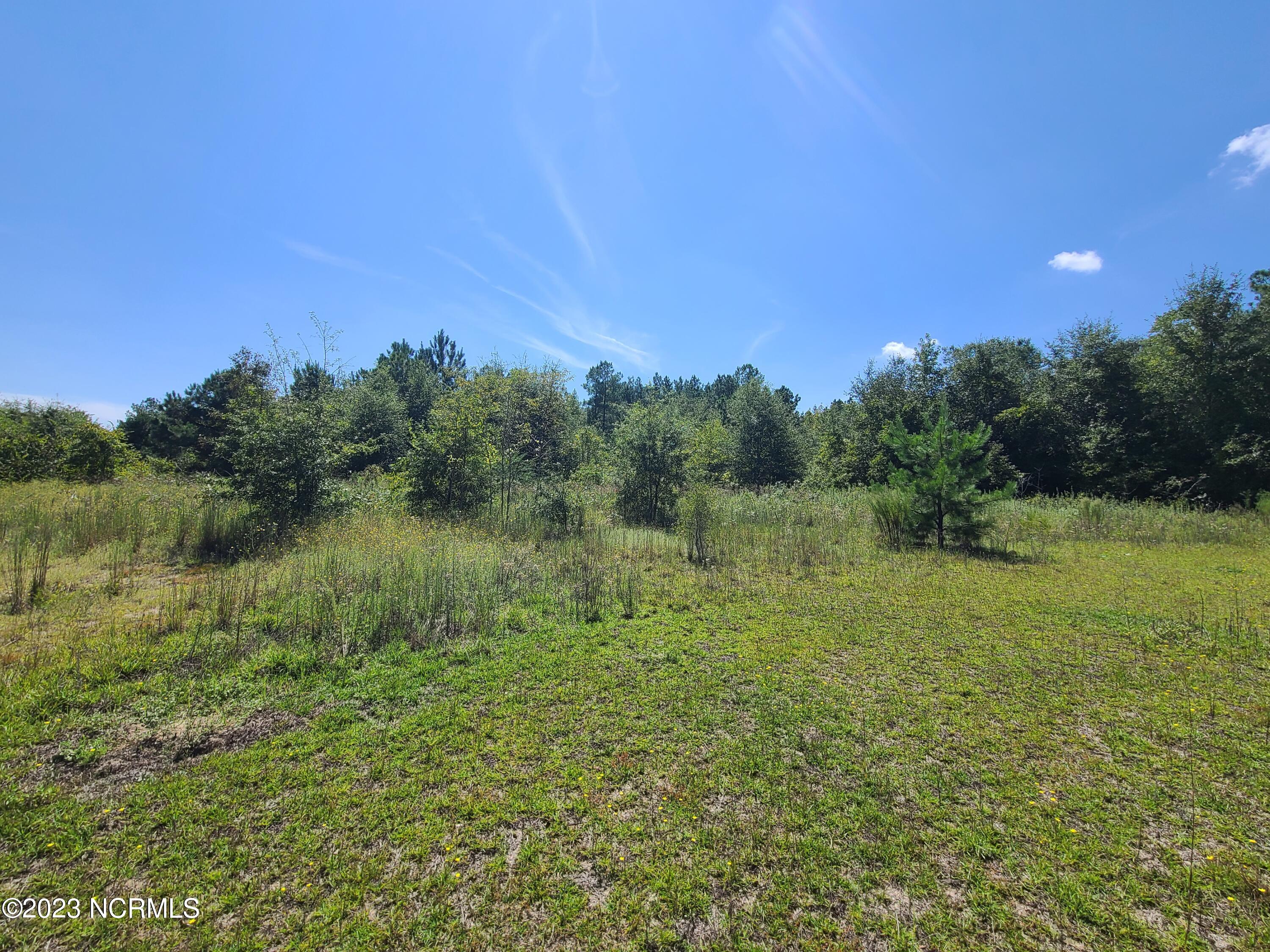 0 Barnes Loop Road Elizabethtown, NC 28337 - Photo 2 of 5 20230919_131224