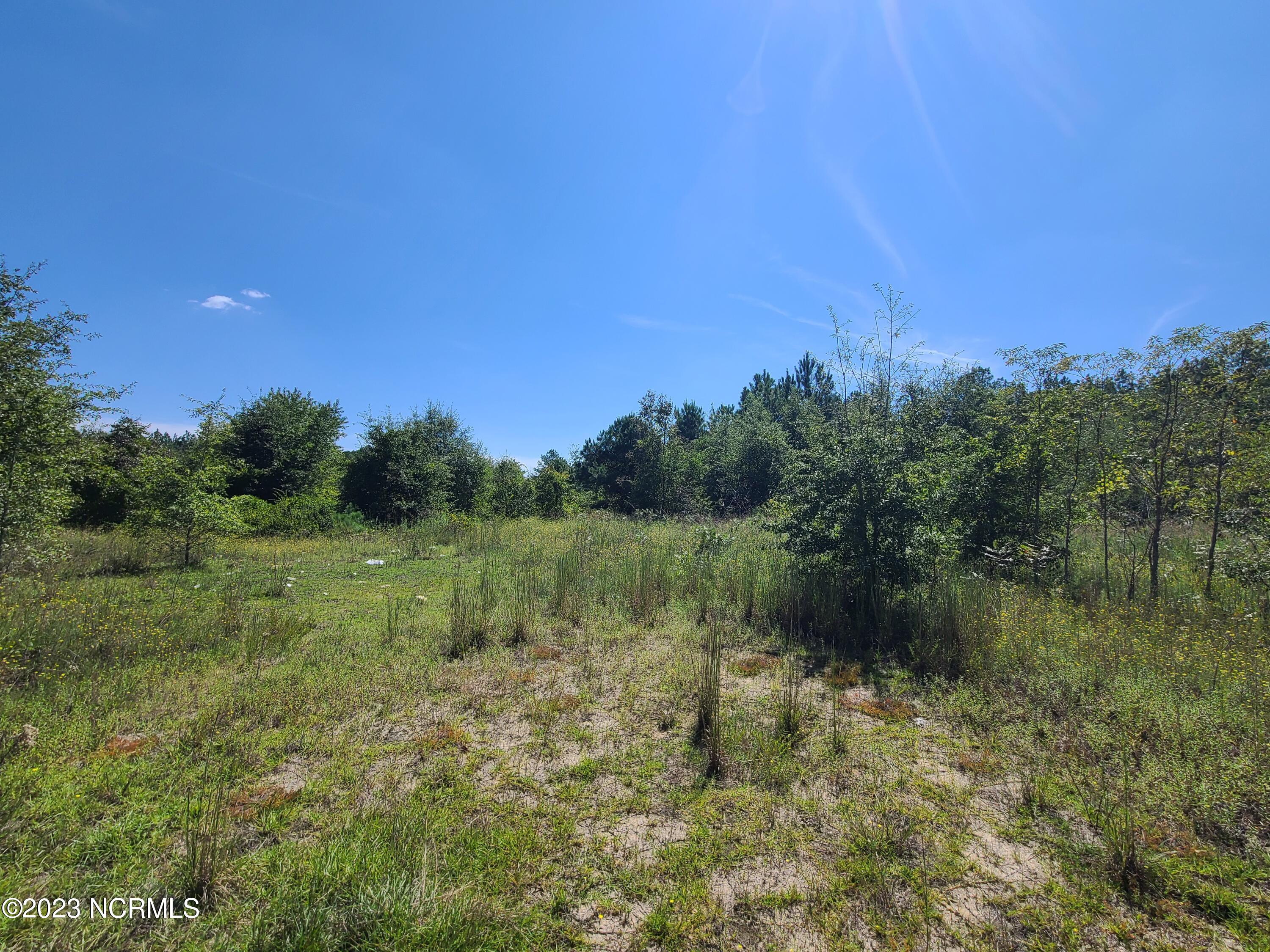 0 Barnes Loop Road Elizabethtown, NC 28337 - Photo 3 of 5 20230919_131234