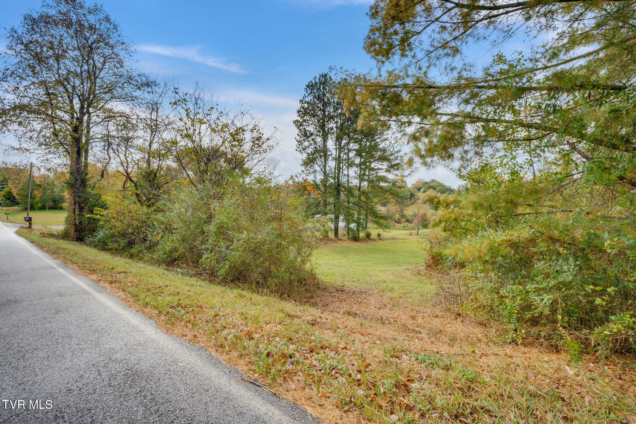 1566 Mill Creek Road, Unit 1 Fall Branch, TN 37656 - Photo 3 of 17 001