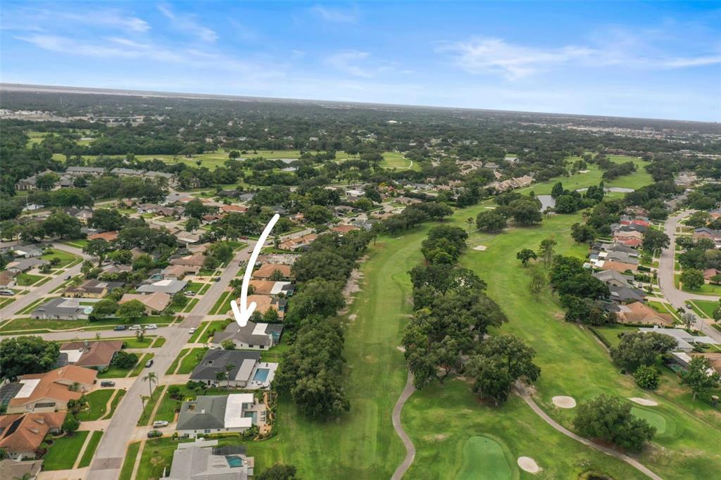 3230 Sandy Ridge Drive Clearwater, FL 33761 - Photo 9 of 9