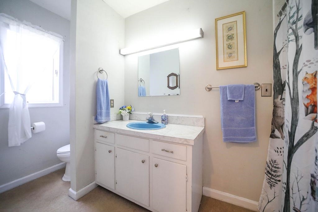 1401 Ladd Road Waynesboro, VA 22980 - Photo 37 of 53 a bathroom with a sink a mirror and a toilet