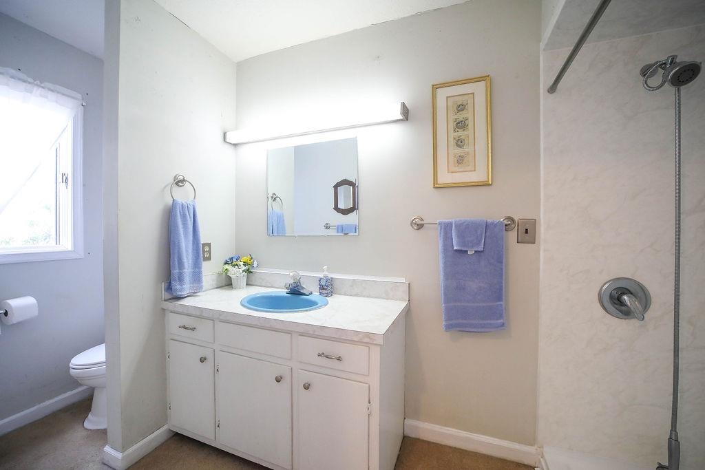 1401 Ladd Road Waynesboro, VA 22980 - Photo 38 of 53 a bathroom with a double vanity sink toilet and a mirror
