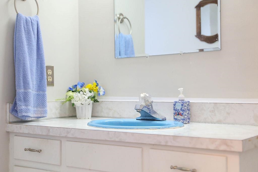 1401 Ladd Road Waynesboro, VA 22980 - Photo 40 of 53 a closeup of a sink with a potted plant