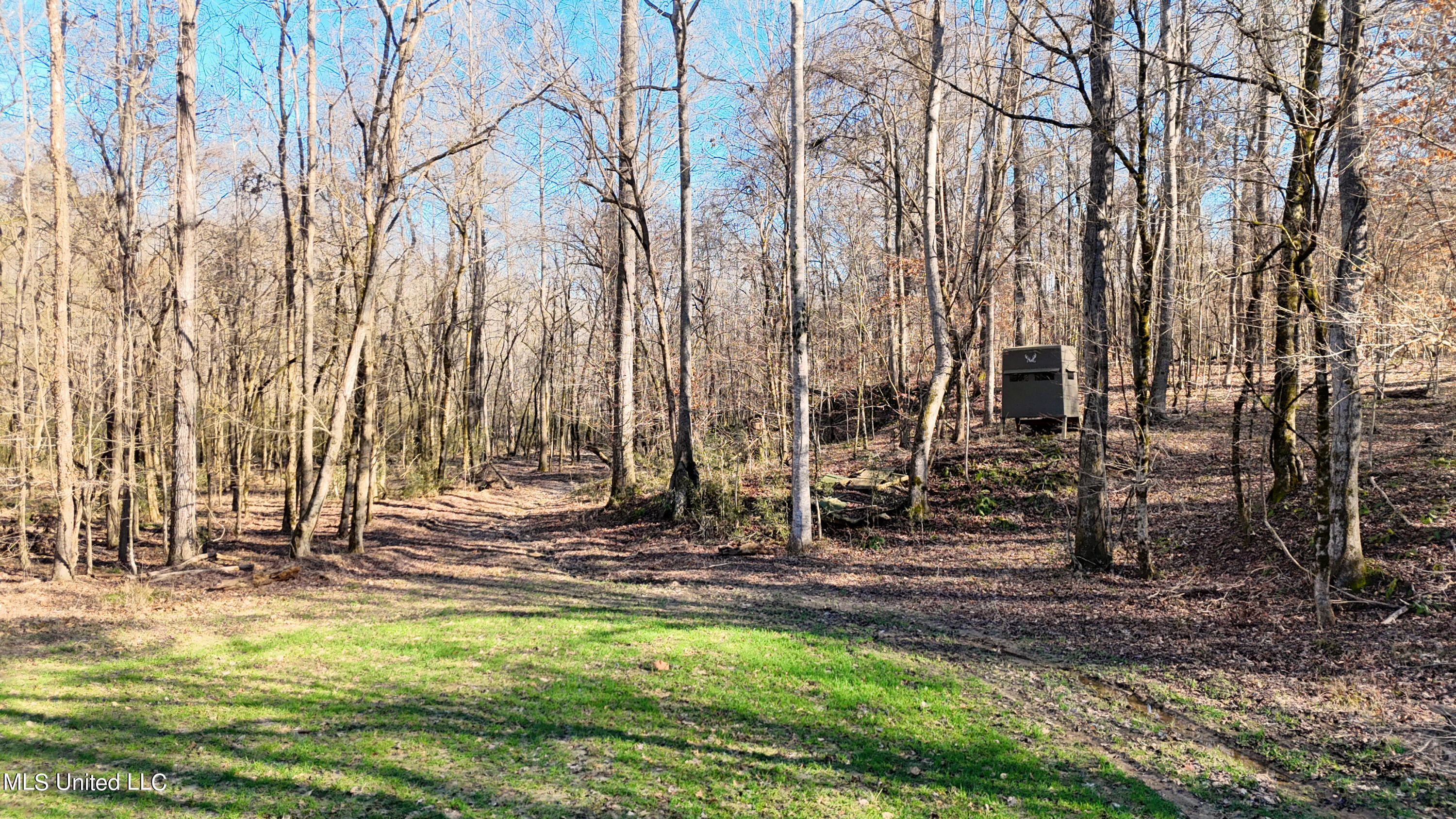Scarlett Road Yazoo City, MS 39194 - Photo 3 of 37 DJI_20240206145705_0002_D.00_00_08_24.St