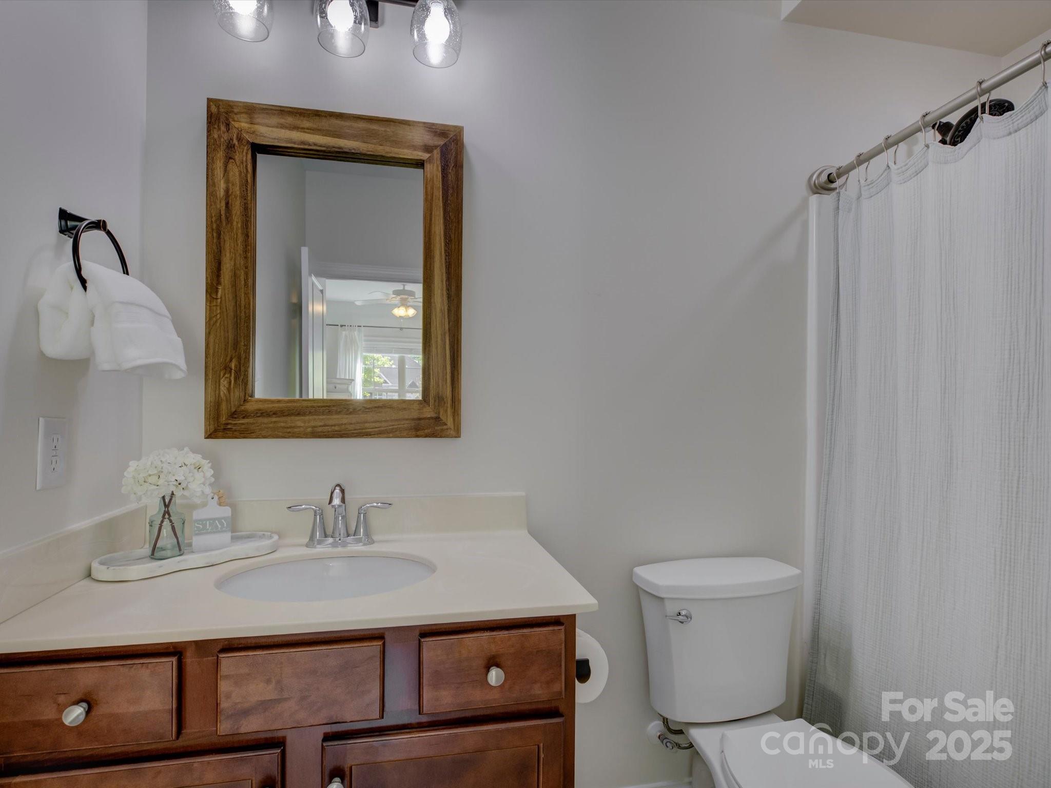 712 Chase Court Fort Mill, SC 29708 - Photo 29 of 48 a bathroom with a sink a toilet and mirror