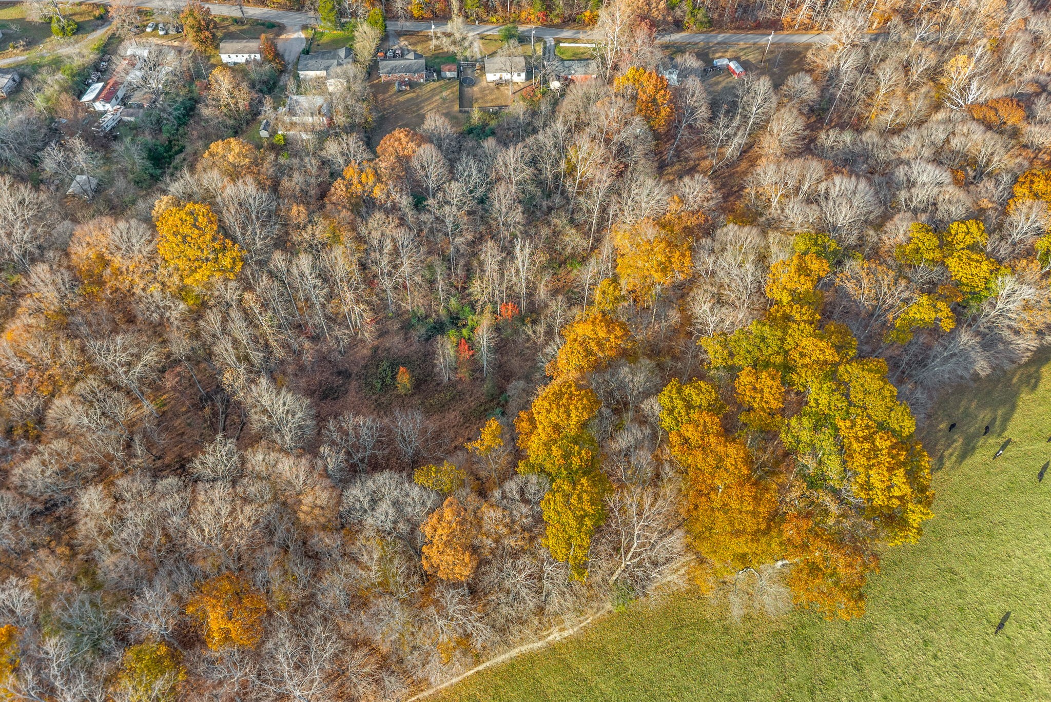 1196 Pickle Knight Road Joelton, TN 37080 - Photo 28 of 32 a view of yard