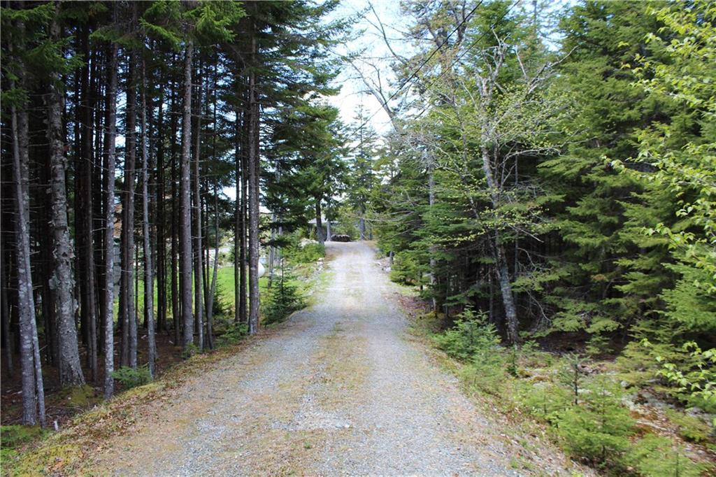 149 Chambers Point Road Roque Bluffs, ME 04654 - Photo 34 of 35 Secluded driveway leading to the home.