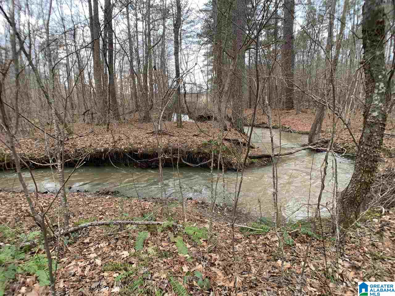 0 Possum Trot Road Piedmont, AL 36272 - Photo 13 of 13
