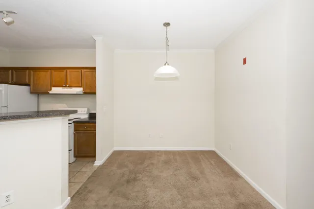 $1,850 | 45 Sycamore Avenue, Unit 1126, Charleston, SC 29407