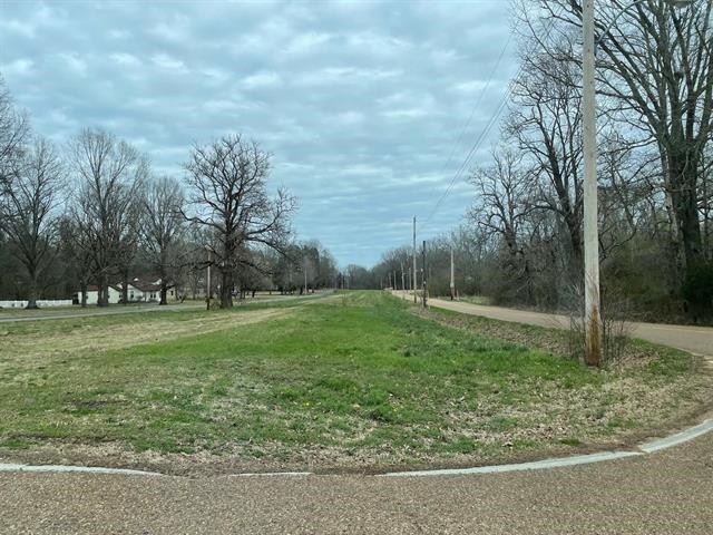 0 Washington Road Eads, TN 38028 - Photo 2 of 3 a view of outdoor space and yard