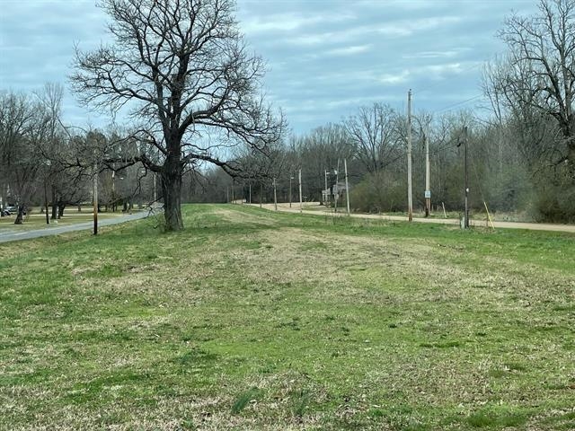 0 Washington Road Eads, TN 38028 - Photo 3 of 3 a big yard with lots of green space and trees
