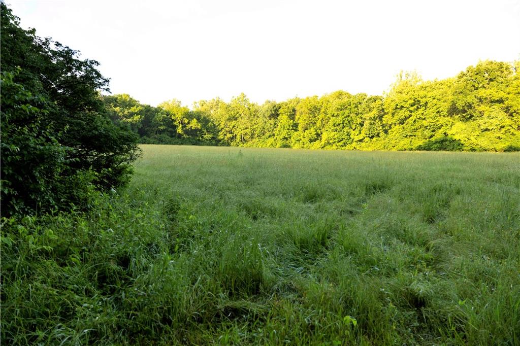 Wilderness Camp Road Lawson, MO 64062 - Photo 29 of 90