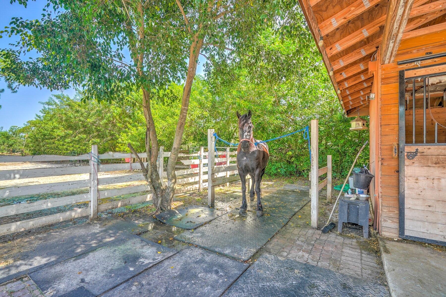 17875 42nd Road North Loxahatchee, FL 33470 - Photo 10 of 64 IMG_1537