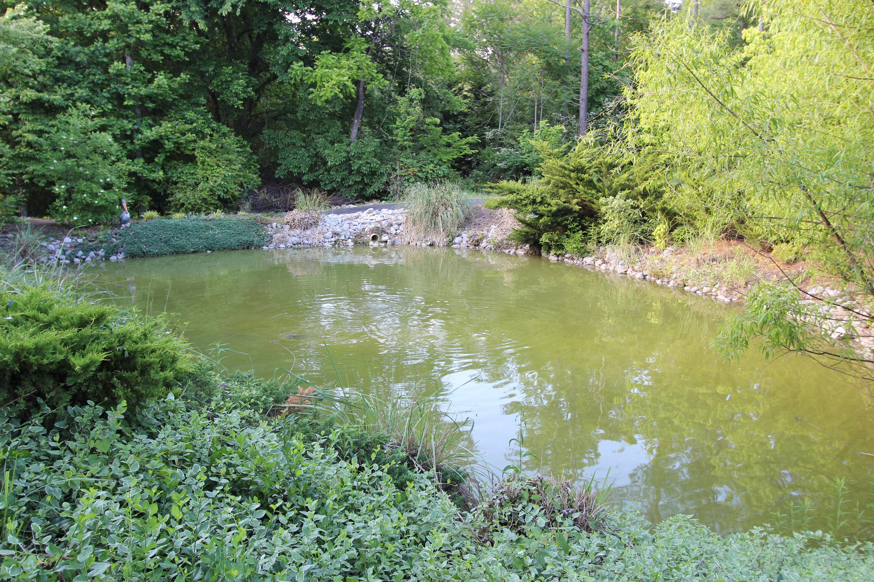 3853 Hubbard Road Loudon, TN 37774 - Photo 38 of 40 Koi Pond