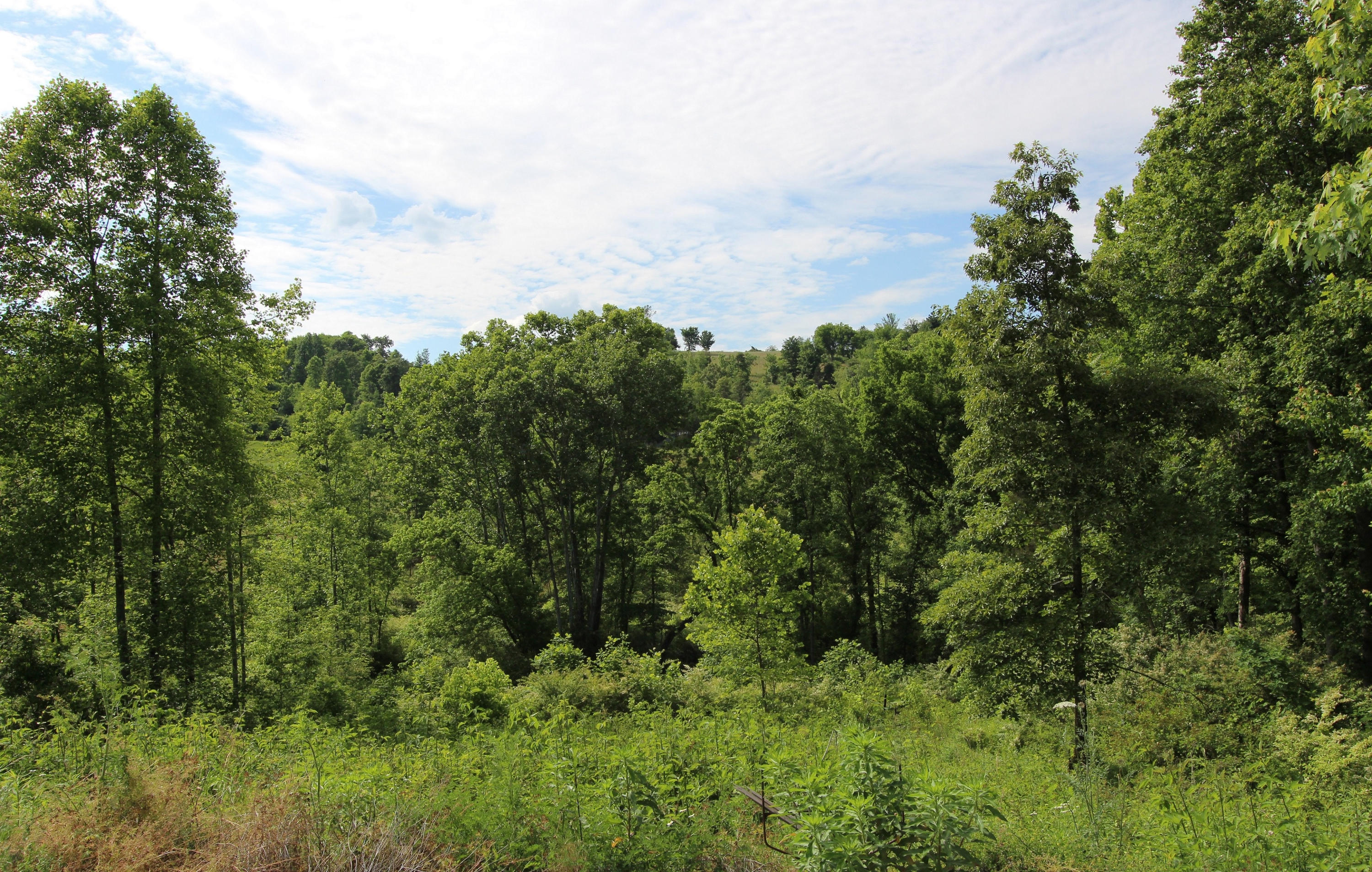 3853 Hubbard Road Loudon, TN 37774 - Photo 39 of 40 5 acres