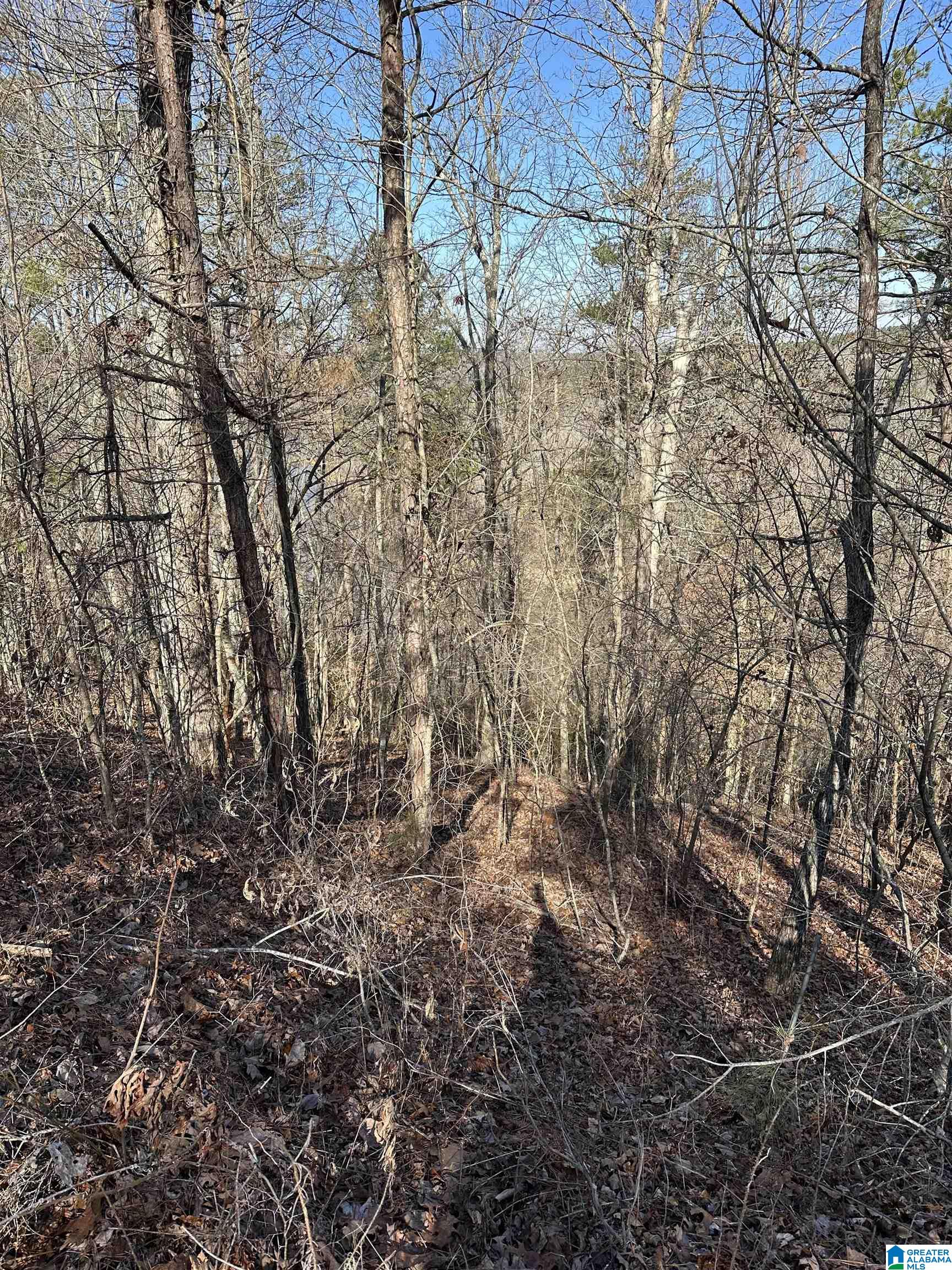10 Montanas Way, Unit 2 Lineville, AL 36266 - Photo 2 of 6