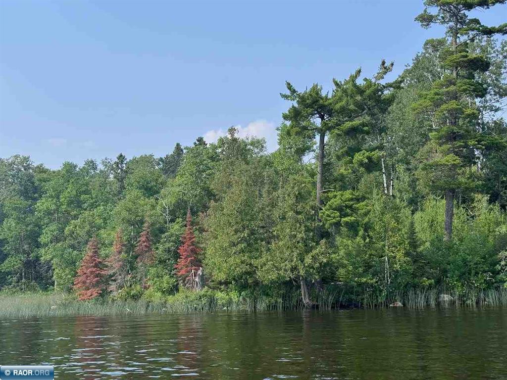 Tbd Tbd Lake North Tower, MN 55790 - Photo 2 of 5