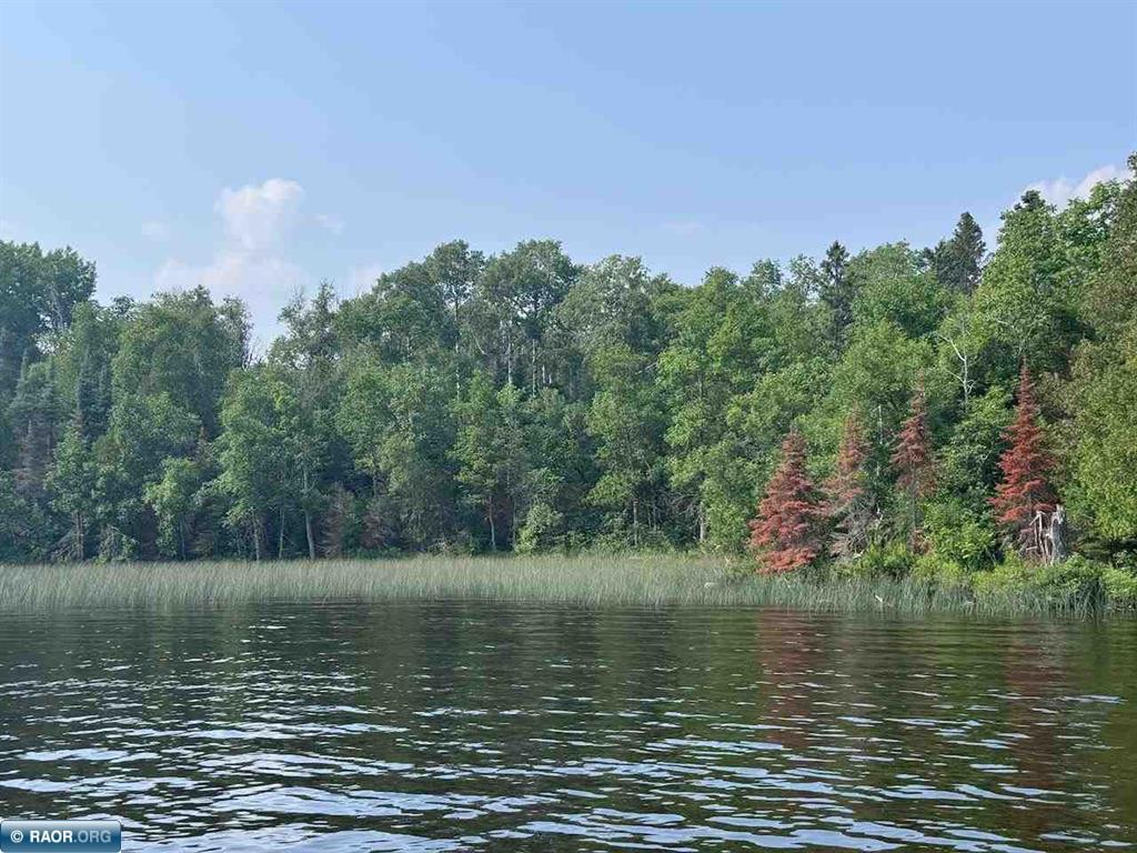 Tbd Tbd Lake North Tower, MN 55790 - Photo 3 of 5