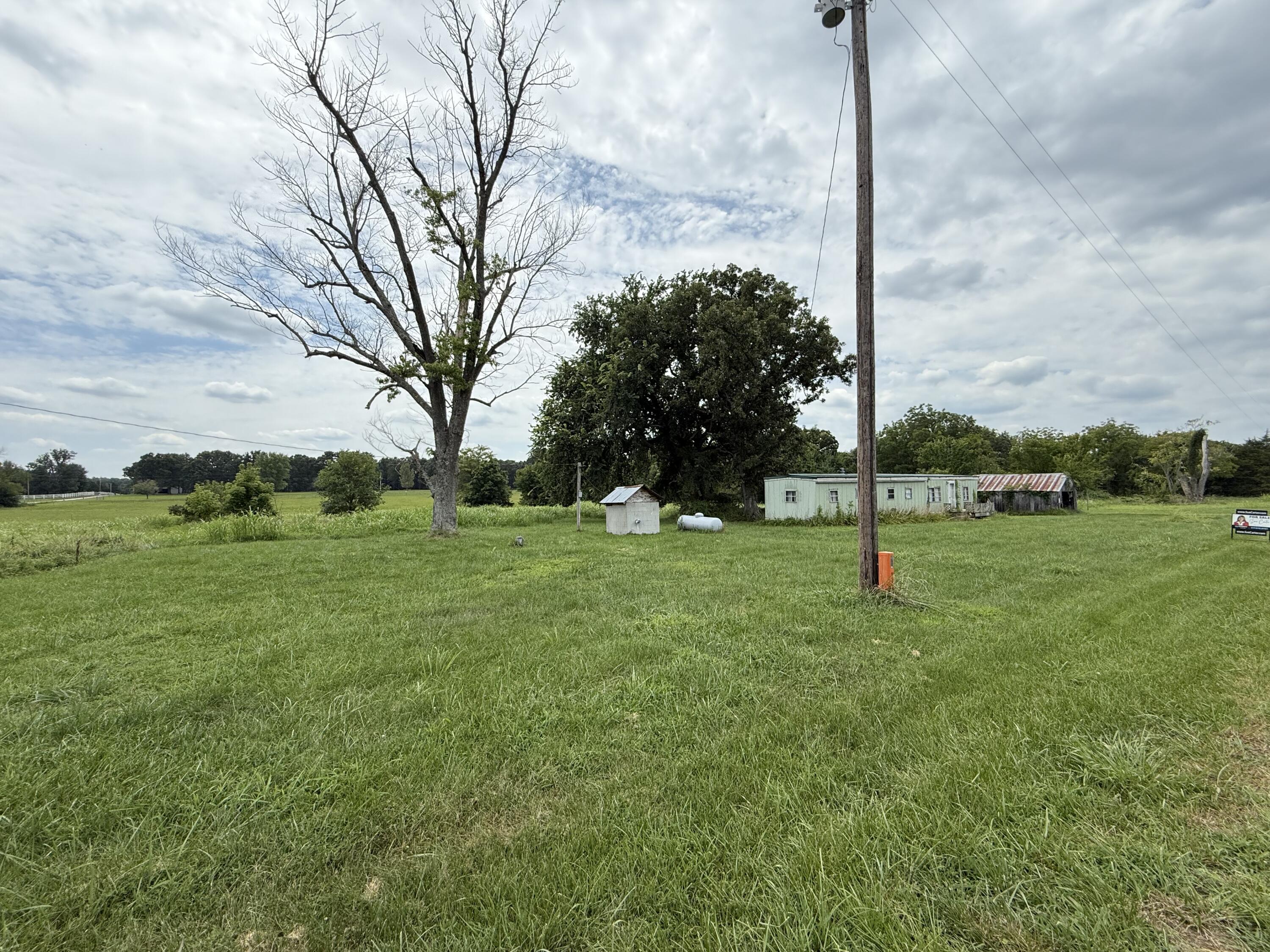 110 Thomasville Road Buffalo, MO 65622 - Photo 1 of 1 front