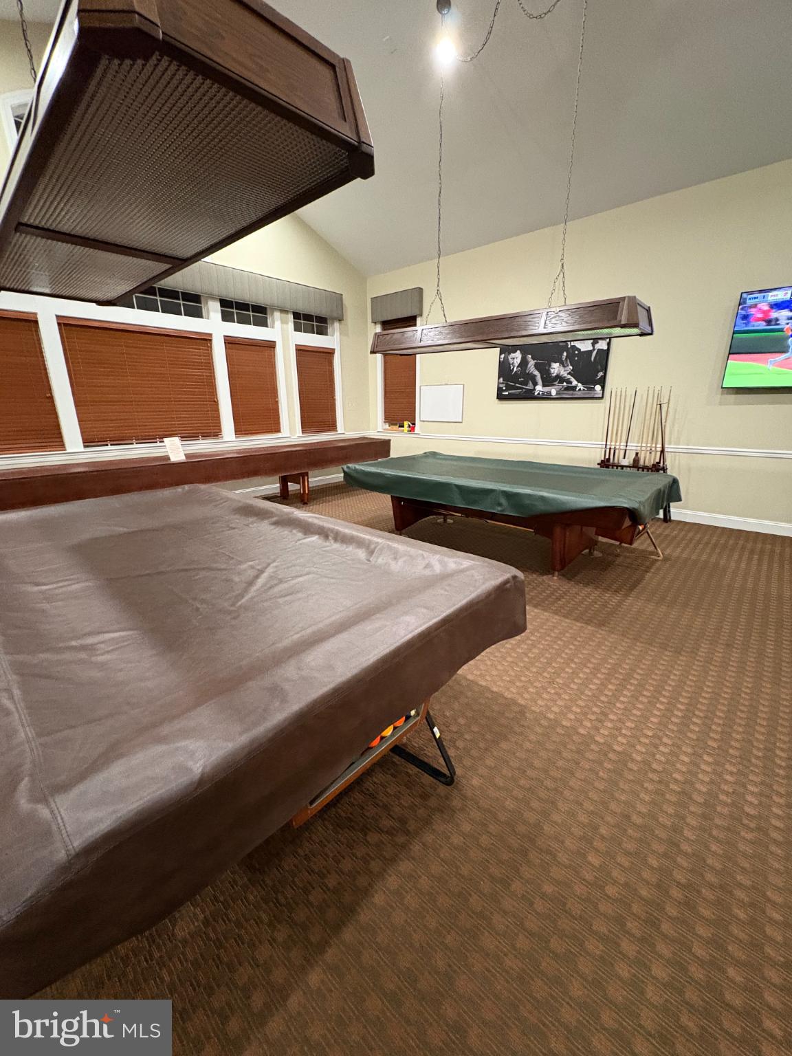 950 Nathaniel Trail Warminster, PA 18974 - Photo 57 of 66 Recreation room with billiard tables.