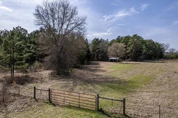 a view of yard with green space and trees all around