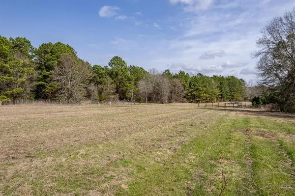 a view of dirt yard with large trees