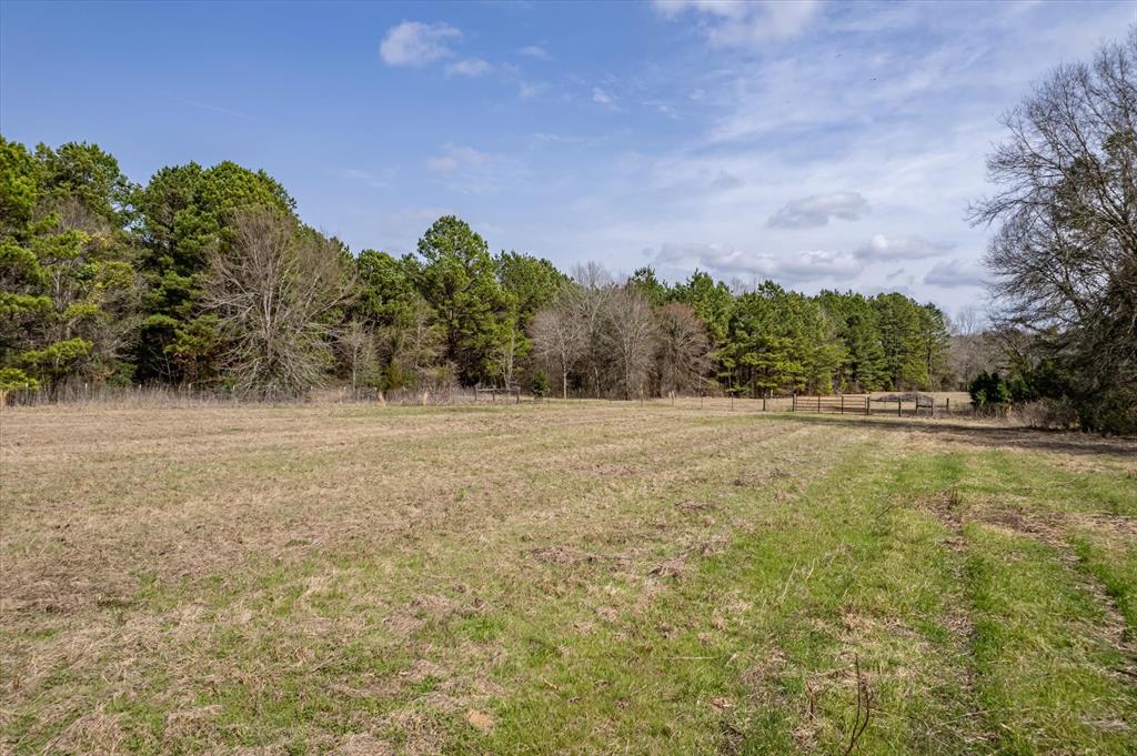 1070 Piney Grove Road Rusk, TX 75785 - Photo 27 of 39 a backyard of a house with lots of green space