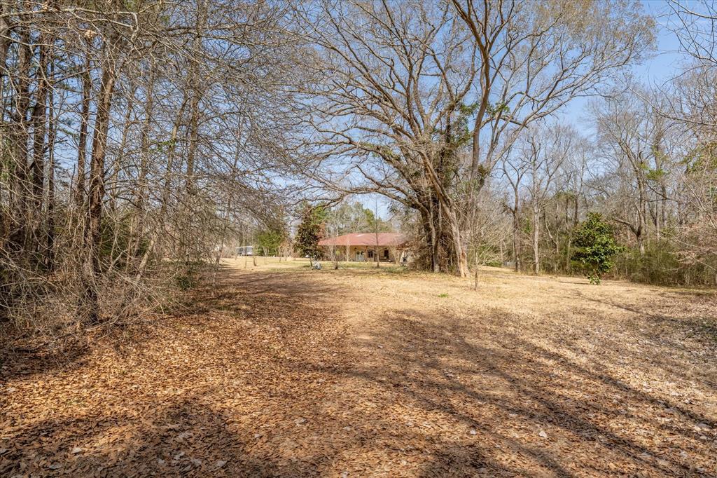 1070 Piney Grove Road Rusk, TX 75785 - Photo 28 of 39 View of yard