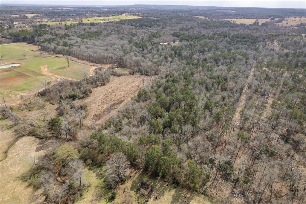 1070 Piney Grove Road Rusk, TX 75785 - Photo 29 of 39 Aerial view of a forest