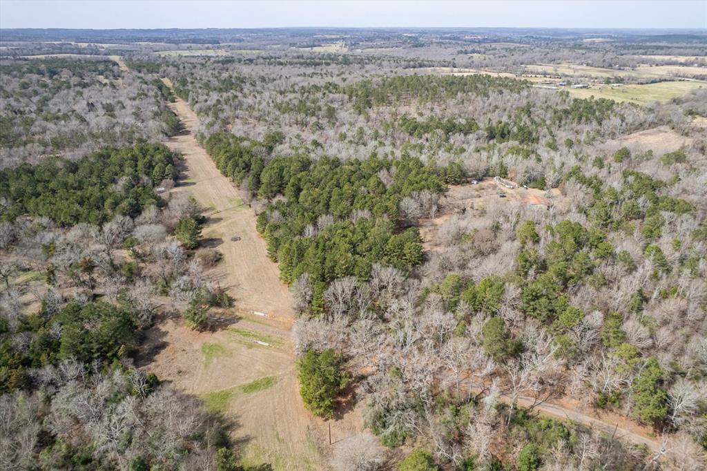 1070 Piney Grove Road Rusk, TX 75785 - Photo 32 of 39 View of rural area with a heavily wooded area