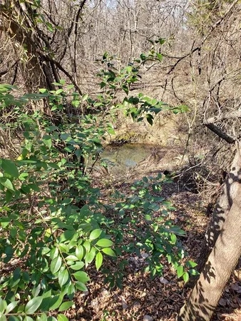 $850,000 | 1070 Piney Grove Road, Rusk, TX 75785
