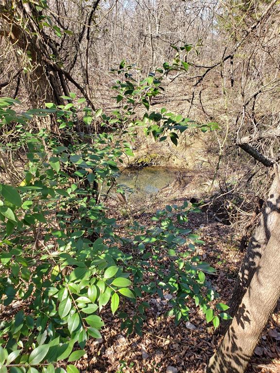 1070 Piney Grove Road Rusk, TX 75785 - Photo 36 of 39 View of undeveloped land