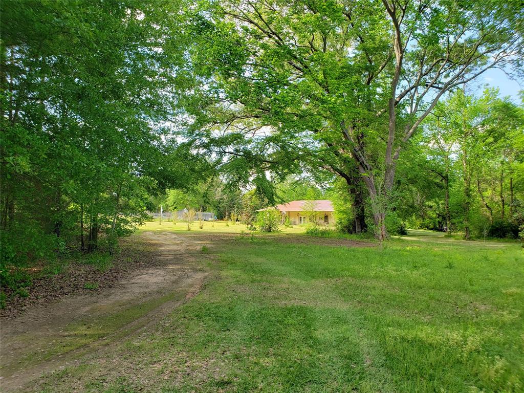 1070 Piney Grove Road Rusk, TX 75785 - Photo 37 of 39 a view of yard with green space and trees all around