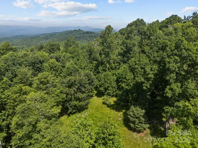 a view of a green yard
