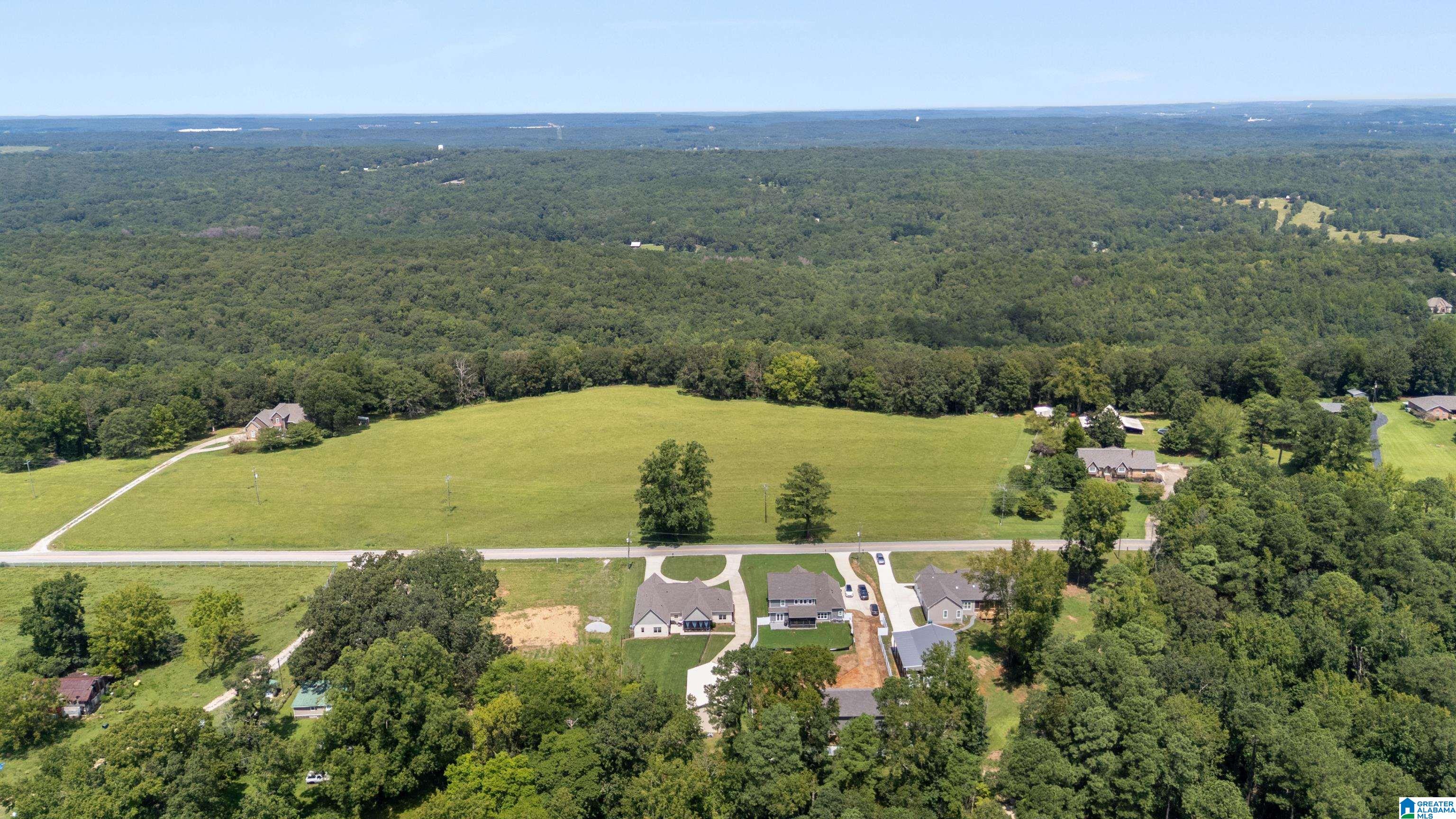 5361 South Shades Crest Road Helena, AL 35022 - Photo 62 of 65