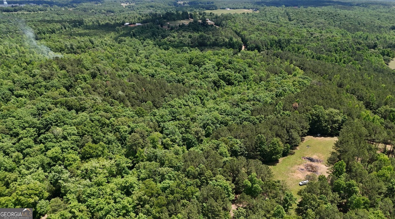 0 Creek Road, Unit LOT 5 Ashland, AL 36251 - Photo 3 of 19