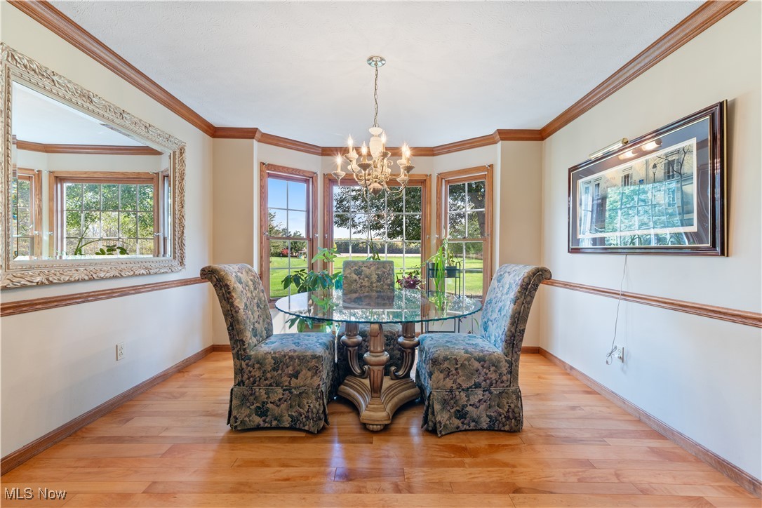 891 Station Road Valley City, OH 44280 - Photo 15 of 45 Dining space with an inviting chandelier, crown molding, plenty of natural light, and light wood-type flooring