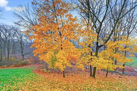 a view of a yard with a house
