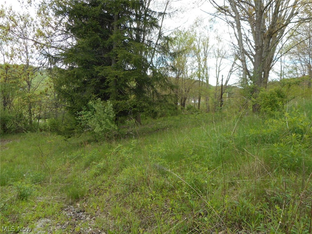 1841-1829 Arner Road Chester, WV 26034 - Photo 2 of 8