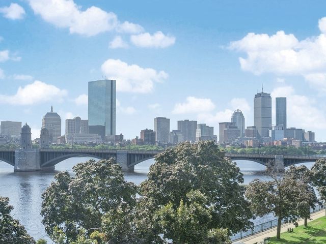 a view of a city with lots of tall trees