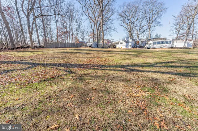 a view of a yard with large trees