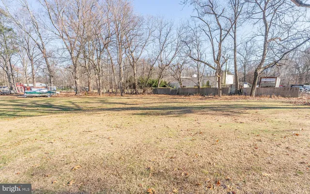 a view of a yard with trees