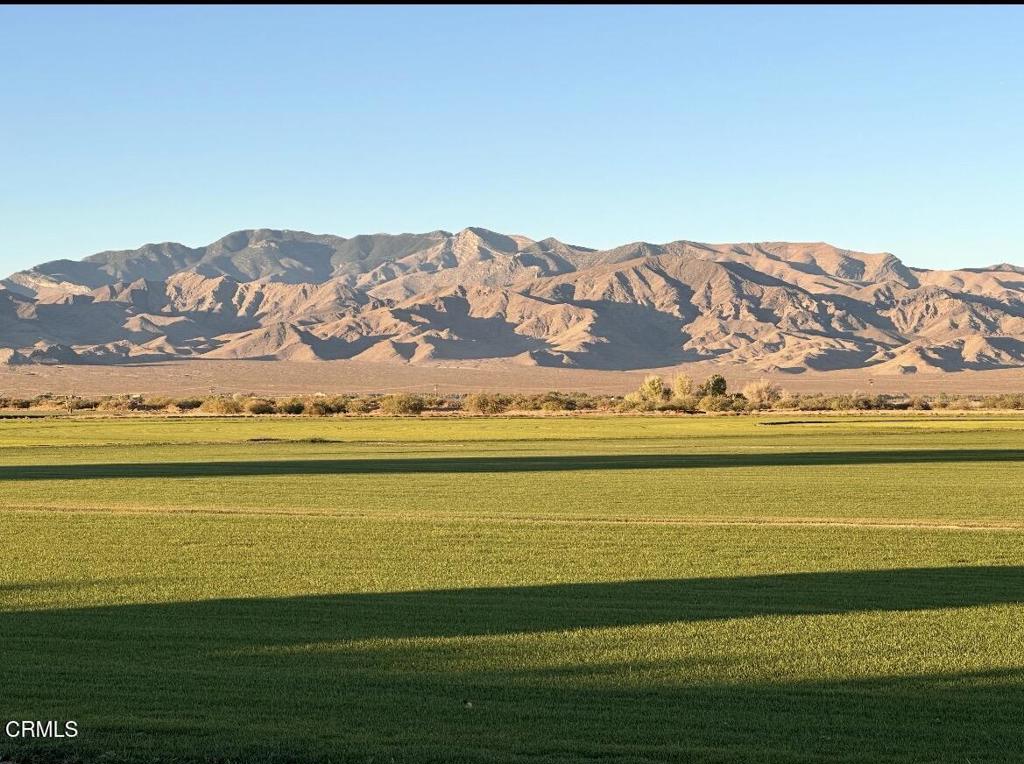 125-2 2 Hawk Ranch Road Tecopa, CA 92389 - Photo 8 of 29 Turf Grass Sod Field 1