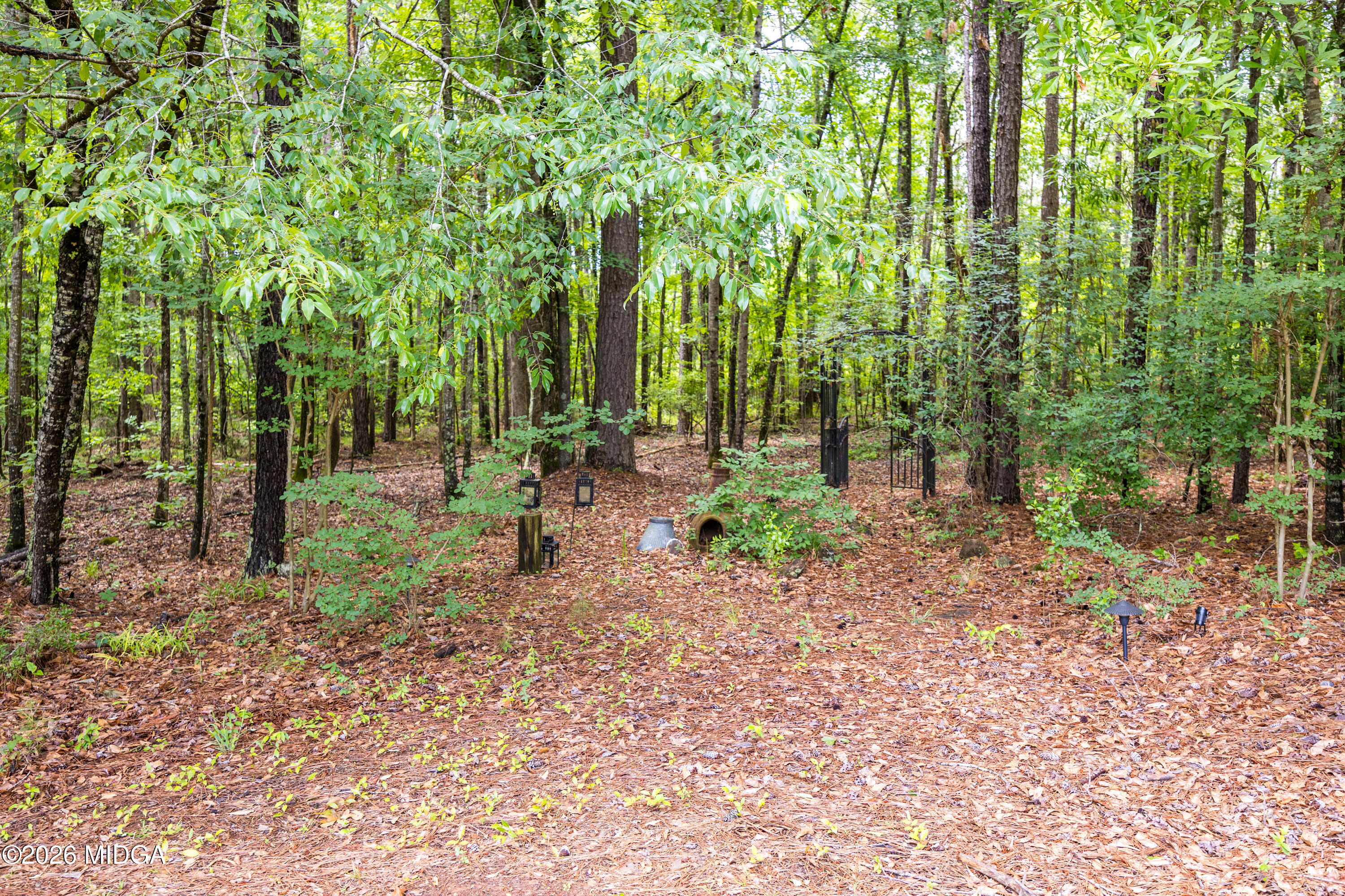 125 Hampton Ridge Road Macon, GA 31220 - Photo 47 of 53 5W7A7659 (41)