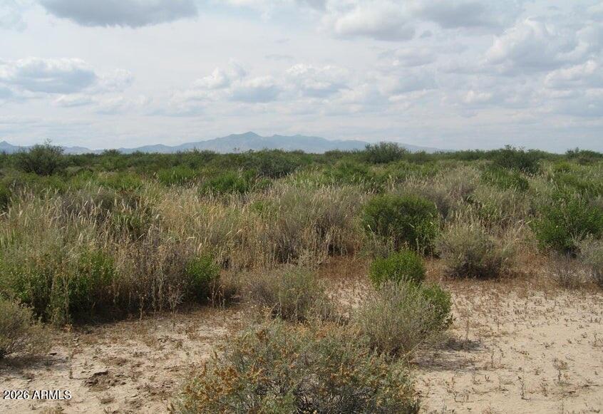 311 South Noland Road San Simon, AZ 85632 - Photo 9 of 9 311 N Noland RD