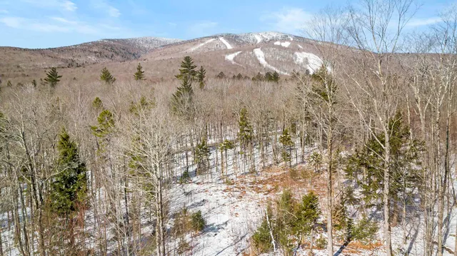 $2,495,000 | 4 Gold Medal Circle, Unit 4, Jamaica, VT 05343