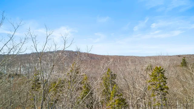 $2,495,000 | 4 Gold Medal Circle, Unit 4, Jamaica, VT 05343