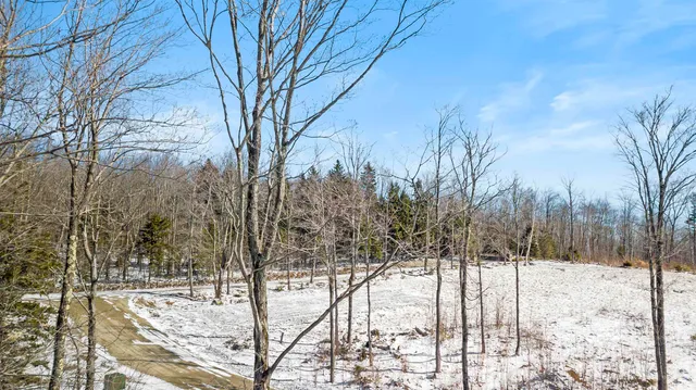 $2,495,000 | 4 Gold Medal Circle, Unit 4, Jamaica, VT 05343